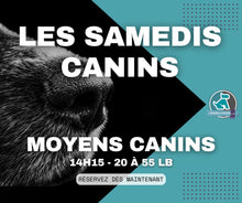 Load image into Gallery viewer, SAMEDIS CANINS - Rencontres canines au Parc à Chien intérieur LJDA
