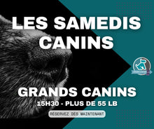 Load image into Gallery viewer, SAMEDIS CANINS - Rencontres canines au Parc à Chien intérieur LJDA
