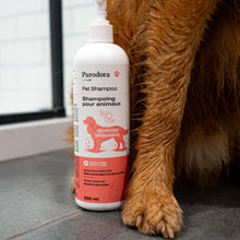 Load image into Gallery viewer, Purodora Lab - Shampoing dégraisseur pour animaux
