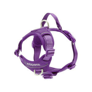 RC Pets Harnais de contrôle Momentum - Couleur Mauve