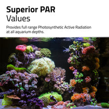 Load image into Gallery viewer, Rampe d’éclairage à DEL Reef 4.0 Fluval - 46 W, 88-126 cm - (35-49 po)
