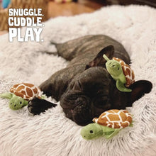 Load image into Gallery viewer, Snugarooz Jouet pour chien - 4 en 1 - Cache-cache tortues
