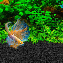 Load image into Gallery viewer, Substrat pour Betta Stratum Fluval - 0,8 kg (1,76 lb)
