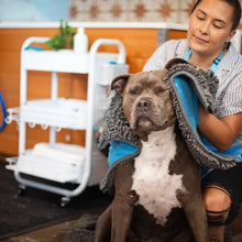 Load image into Gallery viewer, Messy Mutts Tapis de séchage et serviette en microfibre avec poches pour les mains
