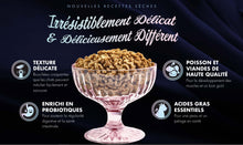 Load image into Gallery viewer, Nourriture Fromm PurrSnickitty Chat Splendeur de Saumon
