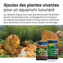 Load image into Gallery viewer, Trousse décorative Fluval de pierres et de sables - Yellowstone
