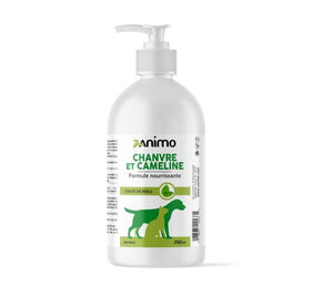 Hemp oil for animals Zanimo