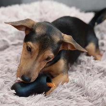 Load image into Gallery viewer, Zeus jouet Chewchasers en caoutchouc pour gâterie - Arachide - Noir
