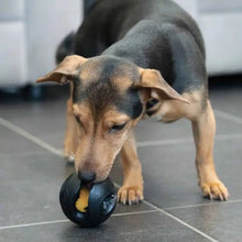 Load image into Gallery viewer, Zeus jouet Chewchasers en caoutchouc pour gâterie - Balle - Noir
