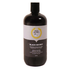 Load image into Gallery viewer, Shampoing naturel pour chien et chat Black Secret
