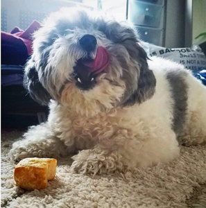 This &amp; That - Yak Cheese Chew