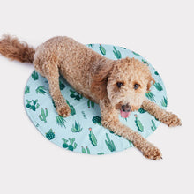 Load image into Gallery viewer, ICE MAT Pet Cooling Mat (L/XL) | Aqua - GF Pet
