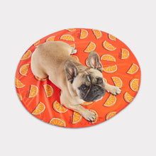 Load image into Gallery viewer, ICE MAT Pet Cooling Mat (L/XL) | Aqua - GF Pet
