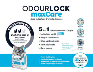 Intersand Odor Lock Cat Litter