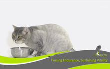 Load image into Gallery viewer, harlow blend nourriture pour chat
