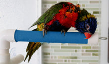 Load image into Gallery viewer, Perchoir repliable pour douche ou fenêtre ACTIVE.PLAY HARI, petit
