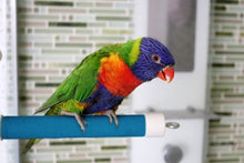 Load image into Gallery viewer, Perchoir repliable pour douche ou fenêtre ACTIVE.PLAY HARI, petit
