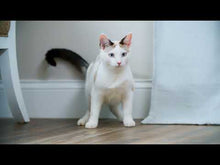 Load and play video in Gallery viewer, Petsafe Jouet Interactif Pour Chat, &quot;zip&quot; à Lumière Laser Automatique
