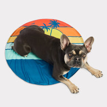 Load image into Gallery viewer, ICE MAT Pet Cooling Mat (L/XL) | Aqua - GF Pet
