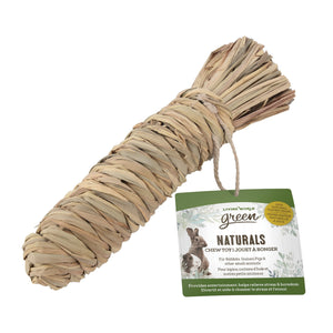 Carrot Chewing Toy for Rodents – Living World Green Naturals