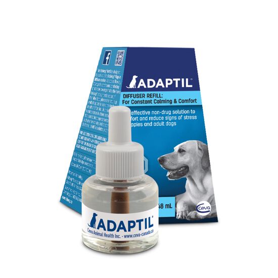 1 recharge Adaptil pour chien