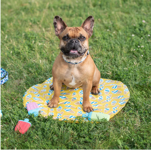 ICE MAT™ - Pet Cooling Mat (L/XL) | yellow