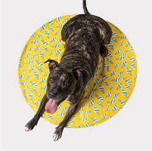 Load image into Gallery viewer, ICE MAT™ - Pet Cooling Mat (L/XL) | yellow
