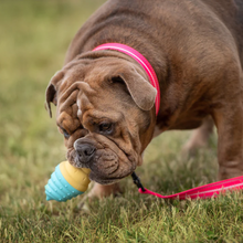 Load image into Gallery viewer, ICE TOY™ - Cooling Dog Toy with Ice Cream Cone | Strawberry cone
