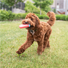 Load image into Gallery viewer, ICE TOY™ - Cooling Dog Toy with Ice Cream Cone | Banana Popsicle
