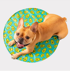 ICE MAT Pet Cooling Mat (L/XL) | Aqua - GF Pet