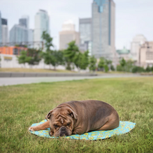 Load image into Gallery viewer, ICE MAT Pet Cooling Mat (L/XL) | Aqua - GF Pet
