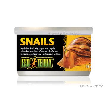 Aliments en conserve Exo Terra, Escargots (sans coquille), 48 g (1,7 oz) - Boutique Le Jardin Des Animaux -nourriture reptileBoutique Le Jardin Des AnimauxPT1956