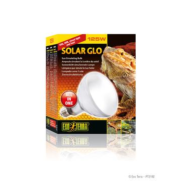 Ampoule Solar Glo Exo Terra simulant la lumière du soleil, 125 W - Boutique Le Jardin Des Animaux -Eclairage reptileBoutique Le Jardin Des AnimauxPT2192