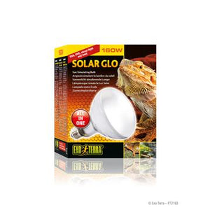 Ampoule Solar Glo Exo Terra simulant la lumière du soleil, 160 W - Boutique Le Jardin Des Animaux -Eclairage reptileBoutique Le Jardin Des AnimauxPT2193