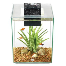 Load image into Gallery viewer, Aquarium équipé Chi II FL 19L (5galUS) - Boutique Le Jardin Des Animaux -AquariumBoutique Le Jardin Des Animaux10505
