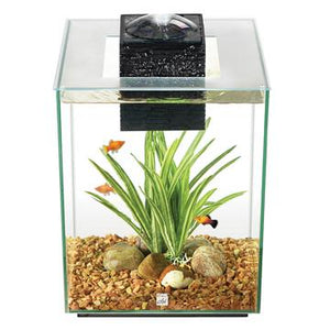 Aquarium équipé Chi II FL 19L (5galUS) - Boutique Le Jardin Des Animaux -AquariumBoutique Le Jardin Des Animaux10505