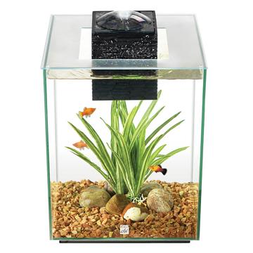 Aquarium équipé Chi II FL 19L (5galUS) - Boutique Le Jardin Des Animaux -AquariumBoutique Le Jardin Des Animaux10505