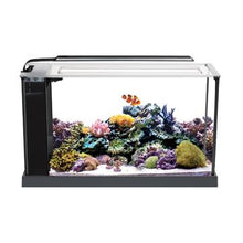 Charger l&#39;image dans la galerie, Aquarium équipé EVO Fluval Sea, 19 L (5 gal US) - Boutique Le Jardin Des Animaux -AquariumBoutique Le Jardin Des Animaux10528
