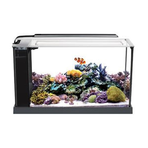 Aquarium équipé EVO Fluval Sea, 19 L (5 gal US) - Boutique Le Jardin Des Animaux -AquariumBoutique Le Jardin Des Animaux10528