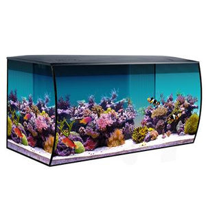Aquarium équipé Flex Fluval Sea d’eau de mer, noir, 123 L (32,5 gal US) - Boutique Le Jardin Des Animaux -AquariumBoutique Le Jardin Des Animaux14994