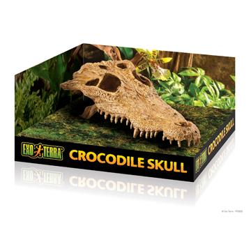 Cachette Exo Terra en forme de crâne de crocodile - Boutique Le Jardin Des Animaux -DécorationBoutique Le Jardin Des AnimauxPT2856