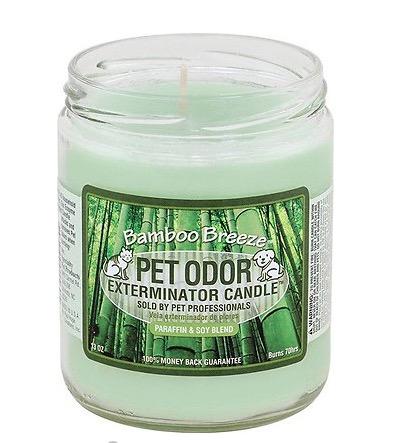Chandelle désodorisante Bamboo Breeze Exterminator Pet Odor, pot de 13 oz - Boutique Le Jardin Des Animaux -entretien maisonBoutique Le Jardin Des AnimauxHOY