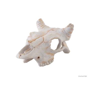Crâne de bison Exo Terra, petit - Boutique Le Jardin Des Animaux -DécorationBoutique Le Jardin Des AnimauxPT2925