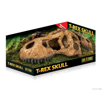 Crâne de tyrannosaure Exo Terra, cachette à l’apparence de fossile - Boutique Le Jardin Des Animaux -DécorationBoutique Le Jardin Des AnimauxPT2859
