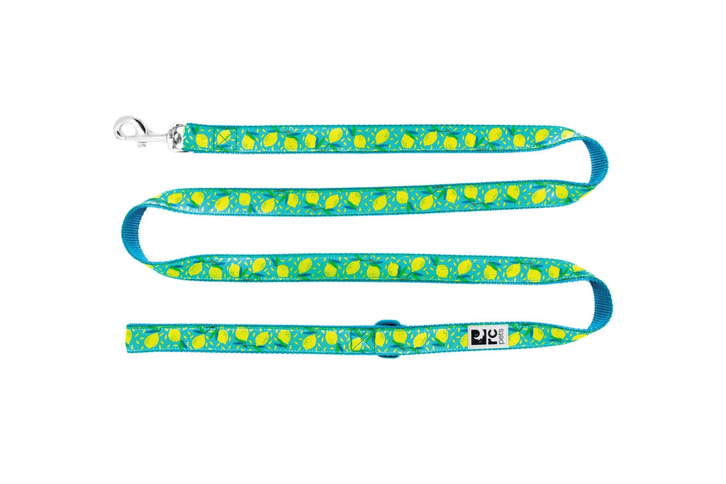 RC Pet Rainbow Paws Leash