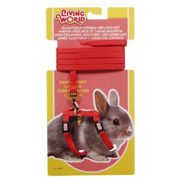 Living World Ensemble laisse et harnais pour lapin nain - Boutique Le Jardin Des Animaux -Accessoire petit mammifèreBoutique Le Jardin Des Animaux60850