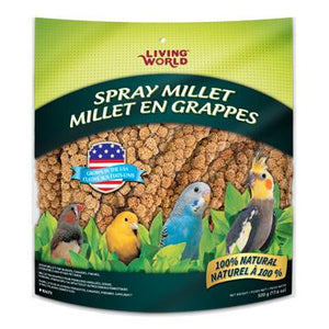 Living World Millets en grappes pour oiseaux - Boutique Le Jardin Des Animaux -Gâterie oiseauBoutique Le Jardin Des Animaux82473