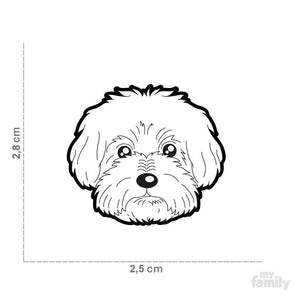 Médaille pour chien collection Friends, BICHON BOLONAIS - Boutique Le Jardin Des Animaux -médailleBoutique Le Jardin Des AnimauxMF11N