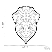 Load image into Gallery viewer, Médaille pour chien collection Friends, BOUVIER DES FLANDRES, TERRIER RUSSE - Boutique Le Jardin Des Animaux -médailleBoutique Le Jardin Des AnimauxMF101
