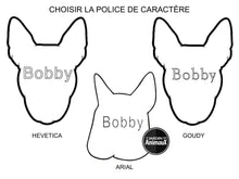 Load image into Gallery viewer, Médaille pour chien collection Friends, BULL TERRIER, Couleurs variées - Boutique Le Jardin Des Animaux -médailleBoutique Le Jardin Des AnimauxMF21BROWN

